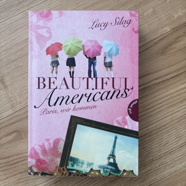 Beautiful Americans novel