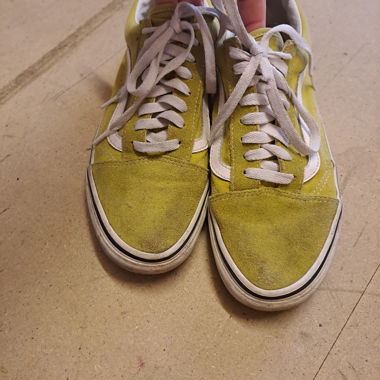 Vans old skool