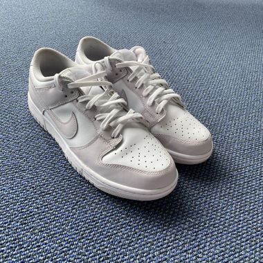 Nike Dunks low