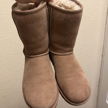 classic mini II Ugg boots