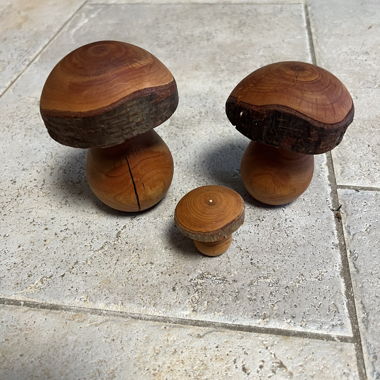 Set déco de 3 champignons en bois