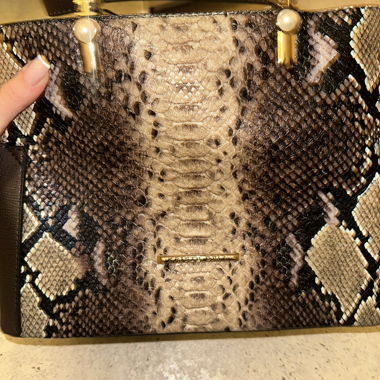 Borsa stampa serpente con dettagli dorati