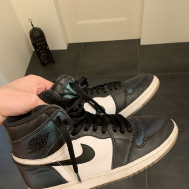 Air Jordan 1 retro high og chameleon