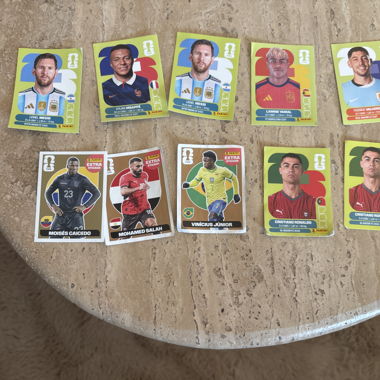 Panini Football Sticker Set