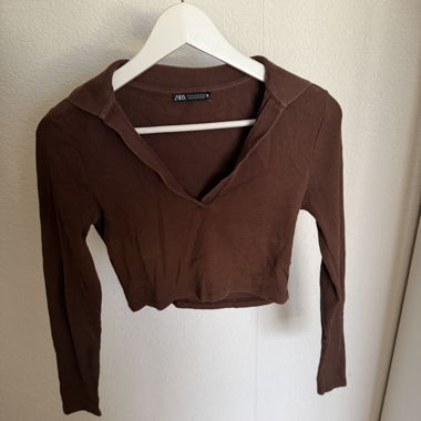 Brown Zara cropped top