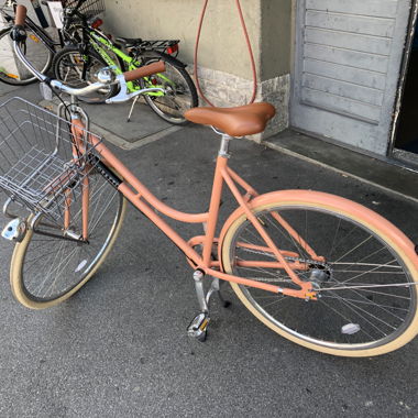 Veloretti - Citybike mit Korb