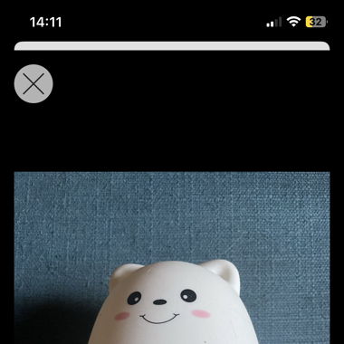Eisbär Lampe vom Coop