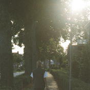 daniekvangool