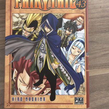 Manga Fairy Tail 43