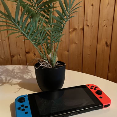 Nintendo Switch Console