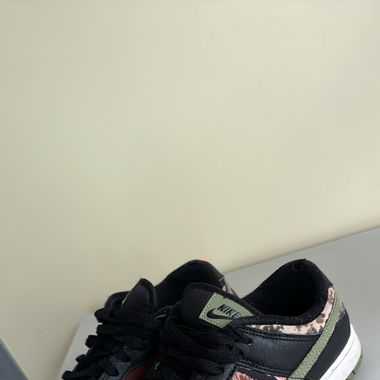 Nike Dunk low Crazy Camo