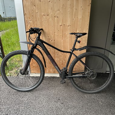 Mountainbike (Cube)