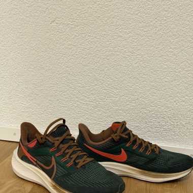 Nike Air Zoom Pegasus EUR 41 A.I.R. Hola Lou