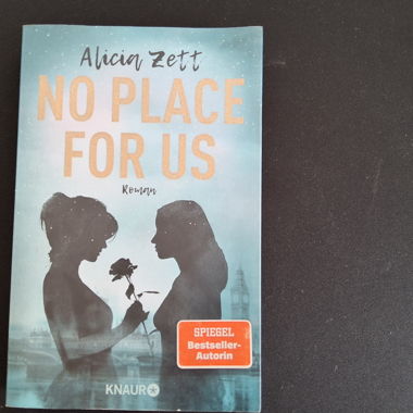 Novel "No Place For Us" by Alicia Zett