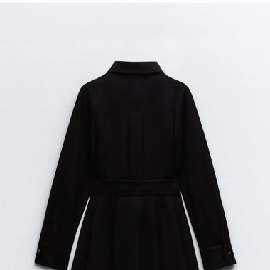 Zara dress