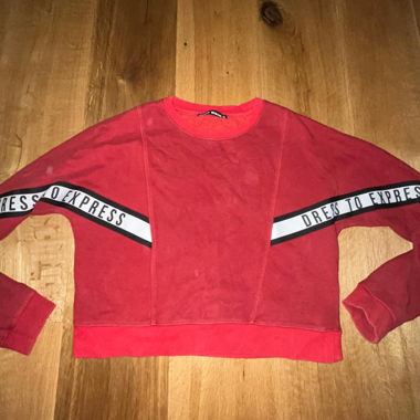 Roter Pullover