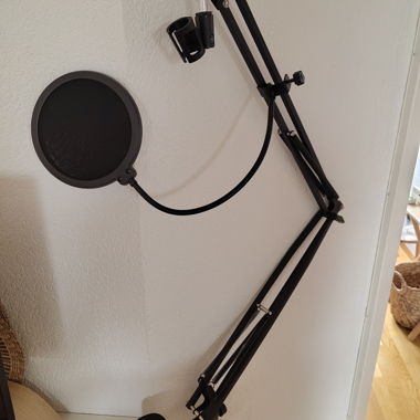 Microphone arm with filter, windscreen