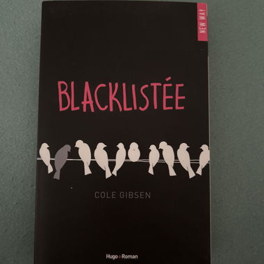 Blacklistée von Cole Gibsen