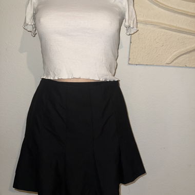 Zara Skirt