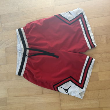 Jordan Sport Shorts