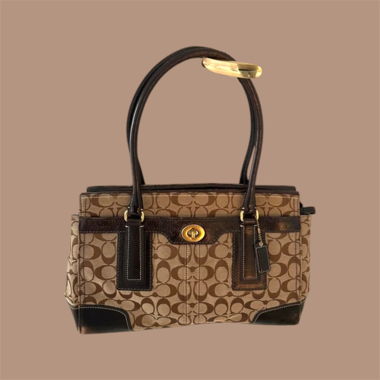 Borsa Coach Vintage