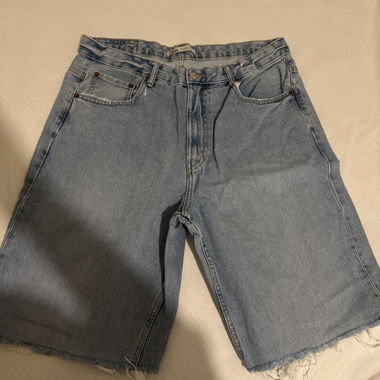 ZARA Denim Shorts