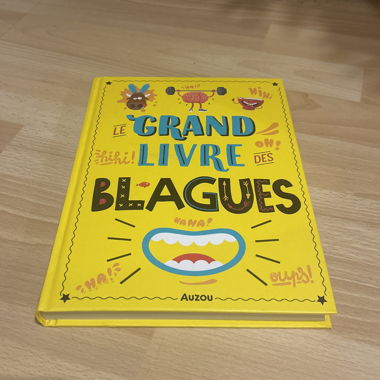 The Big Joke Book