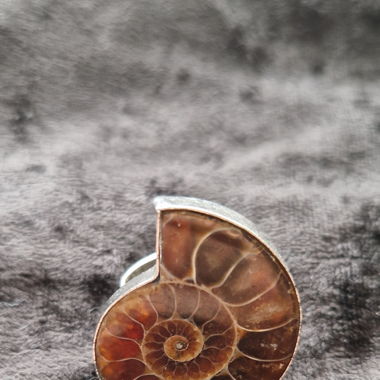 Bague réglable fossile 