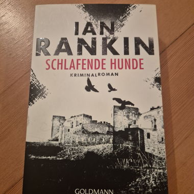 Ian Ranking - Schlafende Hunde