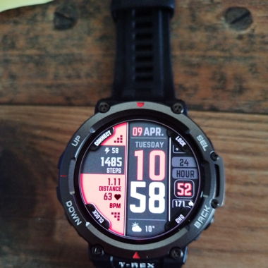 Amazfit T-Rex 2 (wie neu) Garantie 09/25