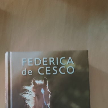 Buch Ein Pferdesommer voller Freiheit