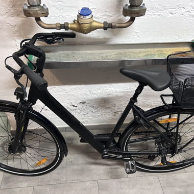 Trek City/Trekking Bike