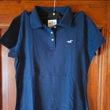 Polo Hollister