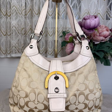 Borsa Coach Lynn Soho Hobo 100% originale, taglia M