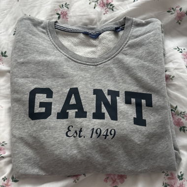 GANT grey Sweatshirt