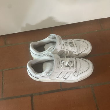 Adidas Forum