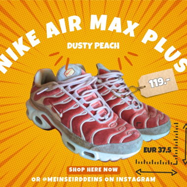 Nike air max plus