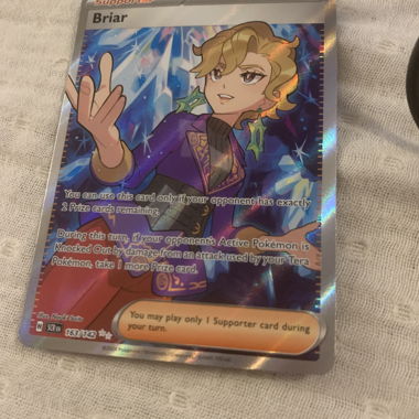 Carte Pokemon Briar