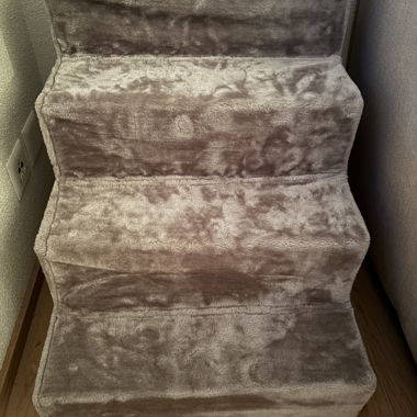 Plush Pet Steps