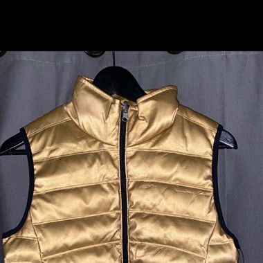 smanicato calvin klein gold