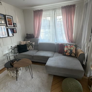 Grey Corner Sofa Without Décor