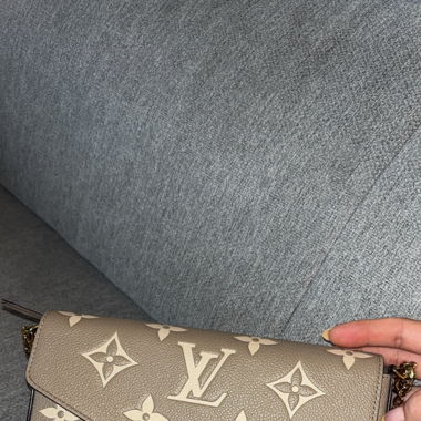 Louis Vuitton Bag