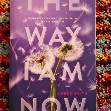The way i am now - Amber Smith