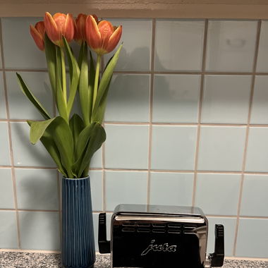 Jura Chrome Toaster  model 150