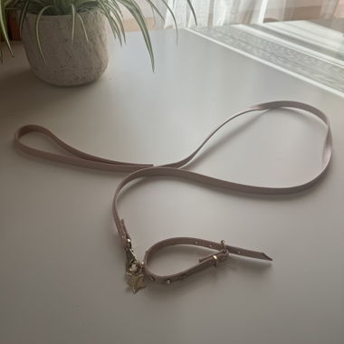 Ensemble collier et laisse pour chien rose à clous