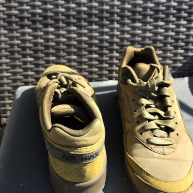 Nike Air Max Sneaker