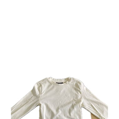 zara cropped long sleeve
