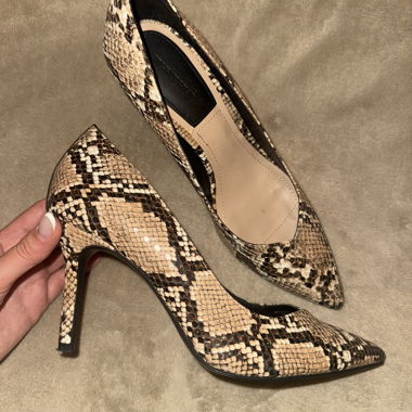 Talons stradivarius 