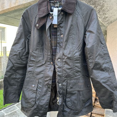 Barbour