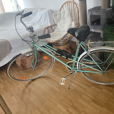 Prophete Velo 